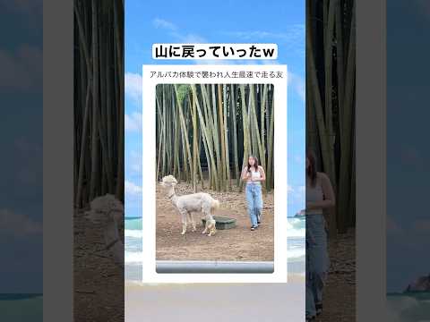 人ってピンチになるとこんなに早く走れるんやｗｗｗ　#shorts #おもしろ #おすすめ