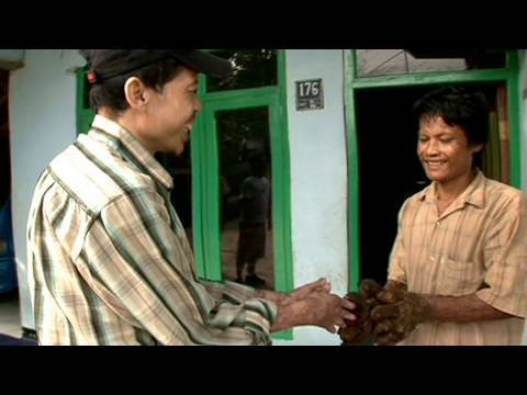 My Shocking Story - Treeman Meets Treeman