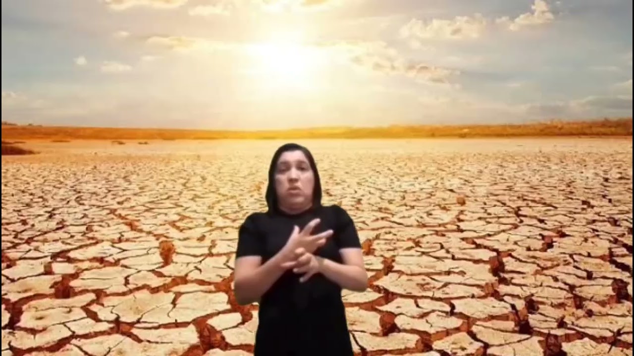 Asa Branca em Libras