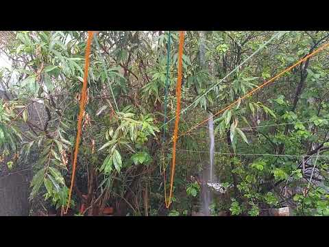 🌹chuva na cidade de Anápolis Goiás. 
