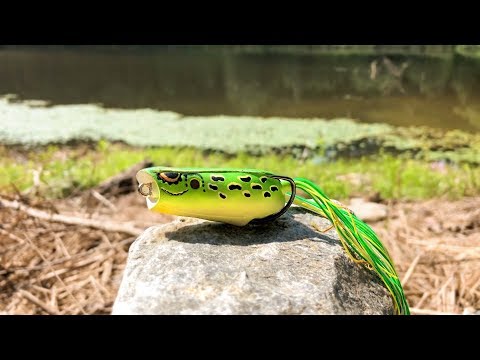 FROG Fishing Challenge with Crazy DAD (HUGE BASS)