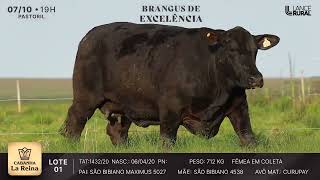 LOTE 1  1432 20