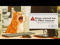 Warum So Viele Manga Illegal Lesen Und Was MangaDex Damit Zu Tun Hat