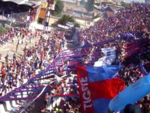 "Tigre mi buen amigo" Barra: La Barra Del Matador &bull; Club: Tigre