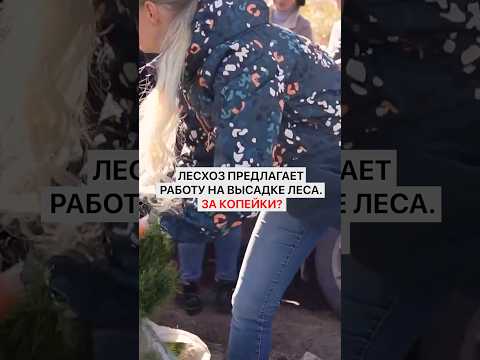 Лесхоз предлагает тяжелую работу на высадке леса. Зарплата шокирует