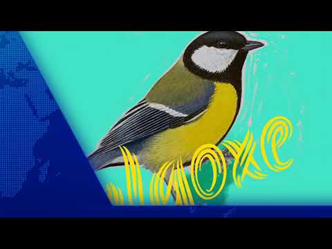 Talgoxe ny hyresgäst på Trädgårdsgatan 5 i Åstorp.