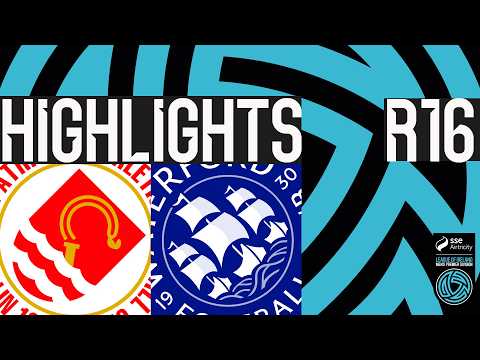 bg-highlight