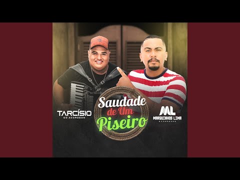 Saudade de um Piseiro