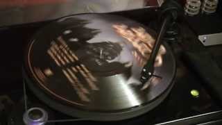 Amon Amarth - Deceiver of the Gods (Picture Vinyl LP record Demo)