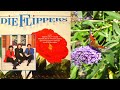 Die Flippers - Schmetterlinge (1992)