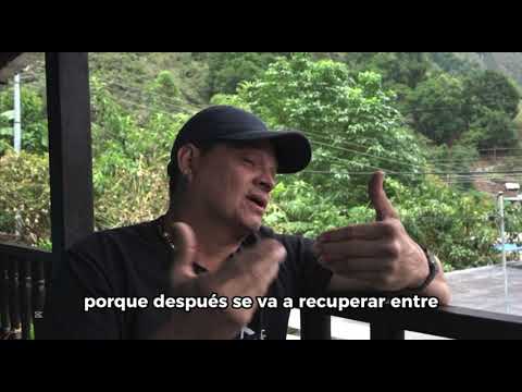 Entre colmenas y voces: tejiendo redes de comunicación