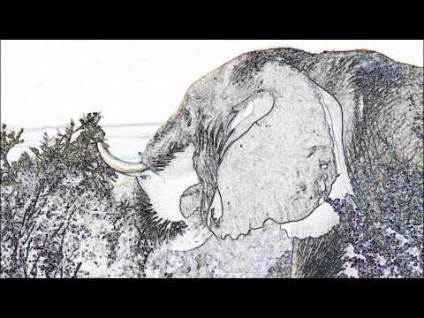 ソロギター オリジナル 【Elephantoms】 Acoustic Solo Guitar (original)