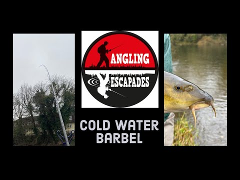 Angling Escapades - Cold Water Barbel