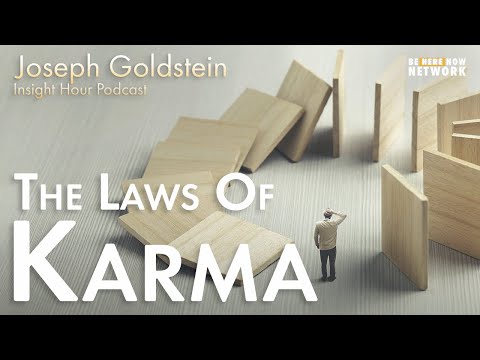 Joseph Goldstein on the Law of Karma – Insight Hour Ep. 144