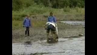 preview picture of video 'Alaska - 1987 - Kenai Camping'