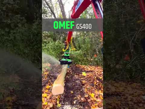 OMEF Αρπαγή με πριόνι-thumb-1