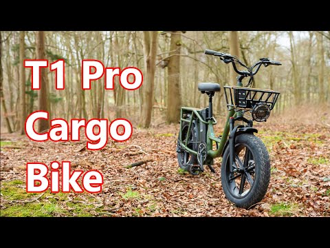 Fiido T1 Pro Electric Bike - Image 2