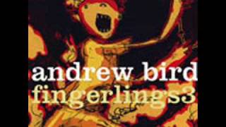 Tin Foil - Andrew Bird