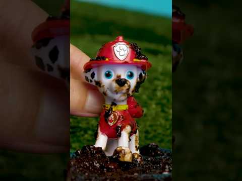 PAW Patrol Toys BEAVER Rescue! 🦫 #shorts