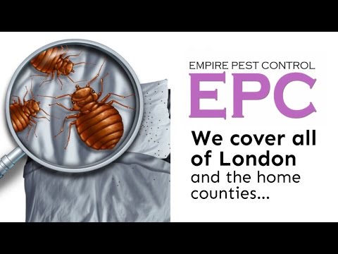 BED BUG TREATMENT LONDON UK ~ BED BUGS UK ~ EMPIRE PEST CONTROL LONDON