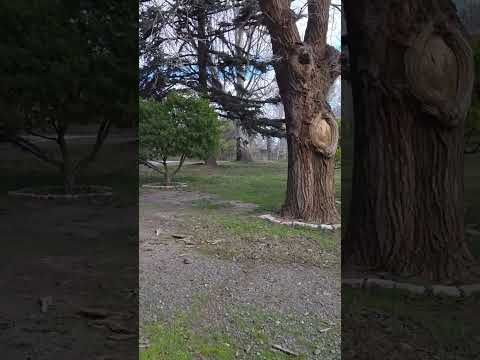 Casa Dr Plottier - Neuquen #patagonia #argentina #travel #vacamuerta