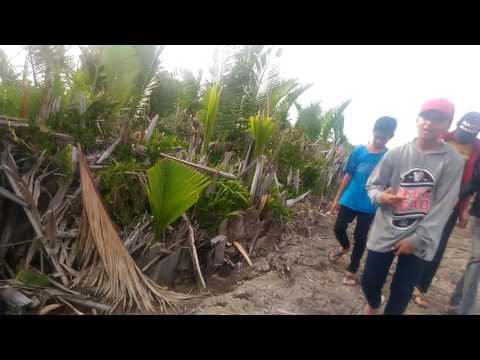 Young Lex Feat "Gamaliel Slow"