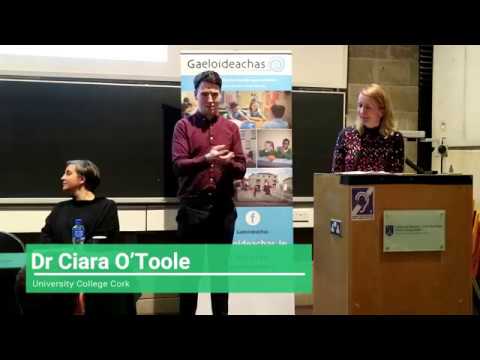 “Is it better for my child with a Developmental Language Disorder go to an English-medium school?”