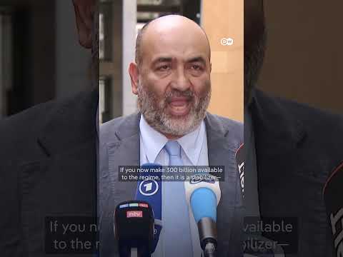 Iran deal is an 'admission of failure,' says German-Iranian politician | DW News