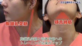 医療法人社団　スガタ歯科医院