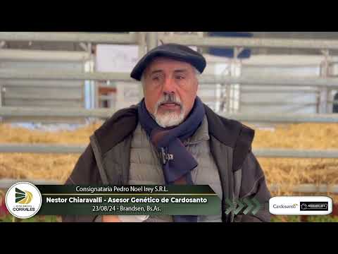 23-08-24 - Nestor Chiaravalli - Asesor Genético de Cabaña Cardosanto -   Brandsen, Bs.As.