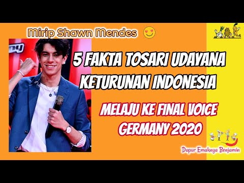 Mirip Shawn Mendes 5 Fakta TOSARI UDAYANA Keturunan Indonesia Melaju ke FINAL Voice Germany 2020