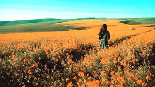 Wind auf der Haut und Lisa - Roland Kaiser (Unoffizielles Video in HD) Audio HQ