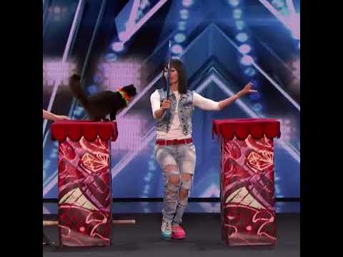 The Savitsky Cats Super Trained Cats Perform Exciting Routine