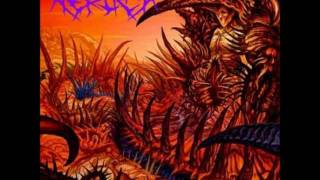 Nerlich - Insane Creations/ Inorganic Echoes