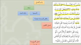 صورة 08باب الغسل من شرح عمدة الفقه  - عامر بهجت