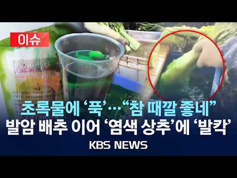 [이슈] 초록 물에 '풍덩'…"때깔 좋네"/발암 배추 이어 '염색 상추'에 발칵/2026년 9월 7일(월)/KBS
