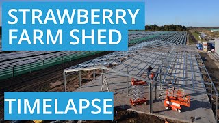 Commercial Shed for Strawberry Farm in Bullsbrook WA 6084