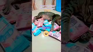 Download lagu Mujaer Pusing Diomeli Mulu😂 #funny #funnyvideo #humor #videoviral #shortvideo mp3