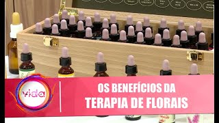 Descubra como funciona a terapia de florais e os seus benefícios - Vida Melhor - 17/07/20
