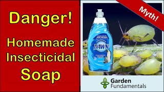 Homemade Insecticidal Soap Harms Your Plants 😢👿😯 Here is a Better Alternative.