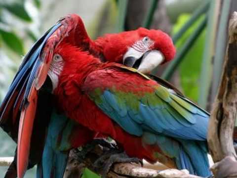 Skarby świata całego.wmv