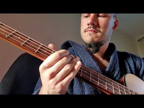 20200809_194131 acoustic bass guitar apc