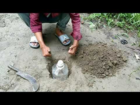 Easy Snake Trap - Installing Unique Quick Snake Trapping Using Oil Bottles | (work 100%)