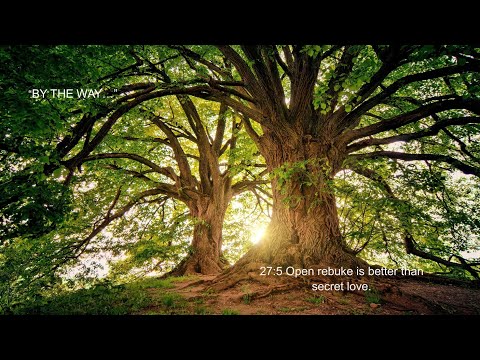 230. 27:5 Open rebuke is better than secret love.