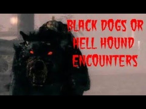 BLACK DOGS OR HELL HOUND ENCOUNTERS