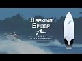 Rusty Barking Spider