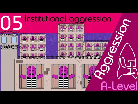 5 Institutional aggression