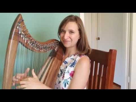Promotional video thumbnail 1 for Elyse Ader