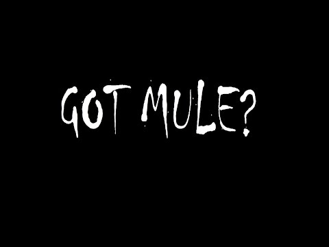 Gov't Mule "Don't Step On The Grass, Sam"