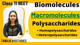 Biomolecules |Macromolecules - Polysaccharides | Cellulose | Starch | Chitin |Class 11 Biology/NEET